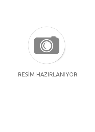 DEKORATİF ASLAN DUVAR HEYKELİ